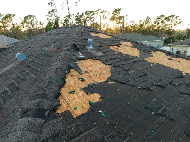 Skylights in Palmhurst, TX